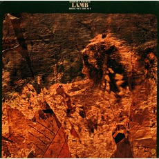 Bring Out The Sun mp3 Album by Lamb (USA)