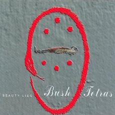 Beauty Lies mp3 Album by Bush Tetras