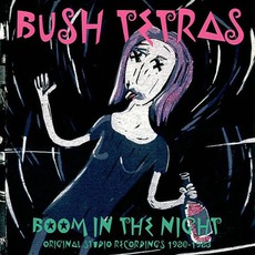 Boom In The Night mp3 Artist Compilation by Bush Tetras