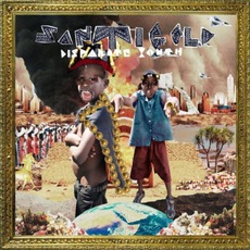 Disparate Youth mp3 Single by Santigold
