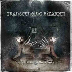 The Serpent's Manifolds mp3 Album by Transcending Bizarre?