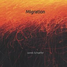 Migration mp3 Album by Janek Schaefer