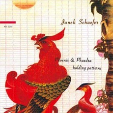 Phoenix & Phaedra Holding Patterns mp3 Album by Janek Schaefer