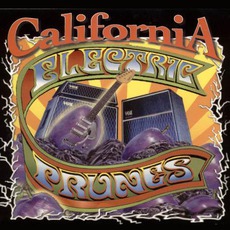 California mp3 Album by The Electric Prunes