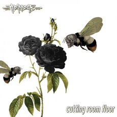 Cutting Room Floor mp3 Album by The Insects