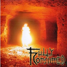 Fully Consumed mp3 Album by Fully Consumed