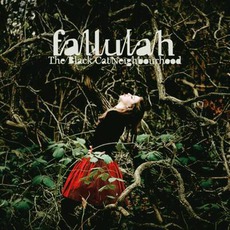 The Black Cat Neighbourhood mp3 Album by Fallulah