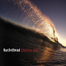 Electric Sea mp3 Album by Buckethead