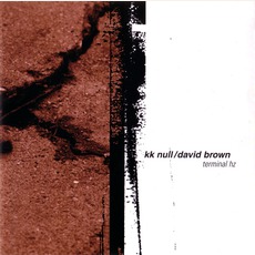 Terminal Hz mp3 Album by KK Null & David Brown