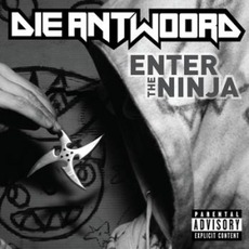 Enter The Ninja mp3 Single by Die Antwoord