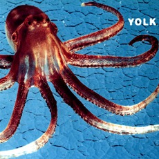 Octopus mp3 Album by Yolk