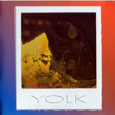 Die VIerte mp3 Album by Yolk