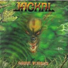 Vague VIsions mp3 Album by Jackal