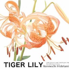 Tiger Lily mp3 Album by Kenmochi Hidefumi