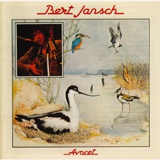 Avocet (Remastered) mp3 Album by Bert Jansch