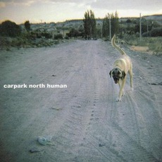 Human mp3 Single by Carpark North
