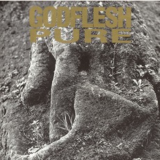 Pure (Re-Issue) mp3 Album by Godflesh