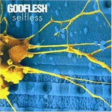 Selfless mp3 Album by Godflesh