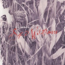 Sex And Wildflowers mp3 Album by Sieben