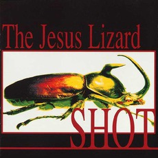 Shot mp3 Album by The Jesus Lizard