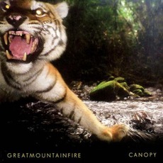 Canopy mp3 Album by Great Mountain Fire