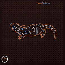 Salamander mp3 Album by ISAN