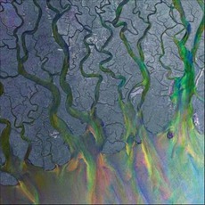 An Awesome Wave mp3 Album by alt‐J