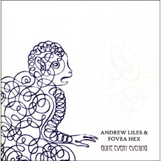 Gone Every Evening mp3 Album by Andrew Liles & Fovea Hex