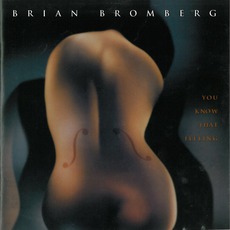 You Know That Feeling mp3 Album by Brian Bromberg
