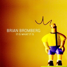 It Is What It Is mp3 Album by Brian Bromberg