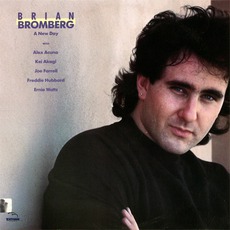 A New Day mp3 Album by Brian Bromberg