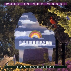 Walk In The Woods mp3 Album by Jon Schmidt