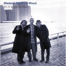 It's A Jungle In Here mp3 Album by Medeski Martin And Wood