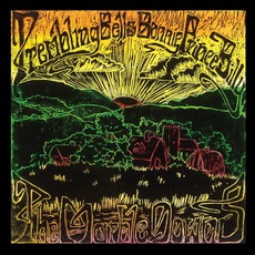 The Marble Downs mp3 Album by Trembling Bells & Bonnie "Prince" Billy