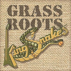 Grassroots mp3 Album by The Chicago Kingsnakes