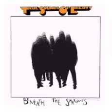 Beneath The Shadows (Remastered) mp3 Album by T.S.O.L.