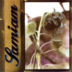 Samiam mp3 Album by Samiam
