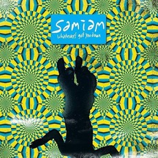 Whatever's Got You Down mp3 Album by Samiam