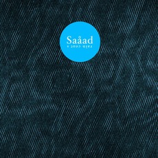 Raincoats mp3 Album by Saåad