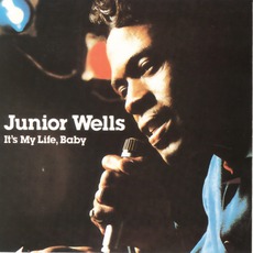 It's My Life, Baby! (Re-Issue) mp3 Album by Junior Wells