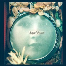 Angel Boxes mp3 Album by Joe Frawley