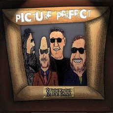 Picture Perfect mp3 Album by Summertime Blues Band