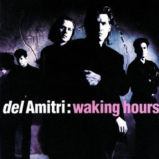 Waking Hours mp3 Album by Del Amitri