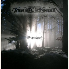 Weltenkraft mp3 Album by Finsterforst