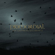 The Gathering Wilderness mp3 Album by Primordial