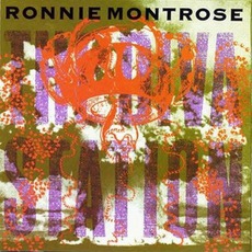 The Diva Station mp3 Album by Ronnie Montrose