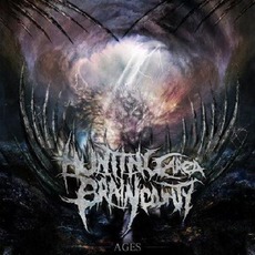 Ages mp3 Album by Hunting Area Brain County