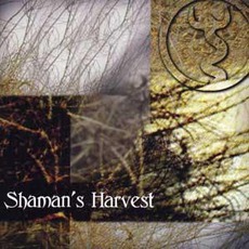 Synergy mp3 Album by Shaman's Harvest