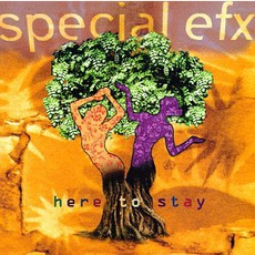 Here To Stay mp3 Album by Special EFX
