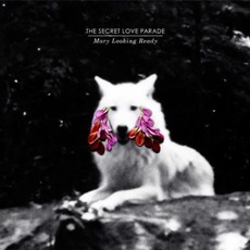 Mary Looking Ready mp3 Album by The Secret Love Parade
